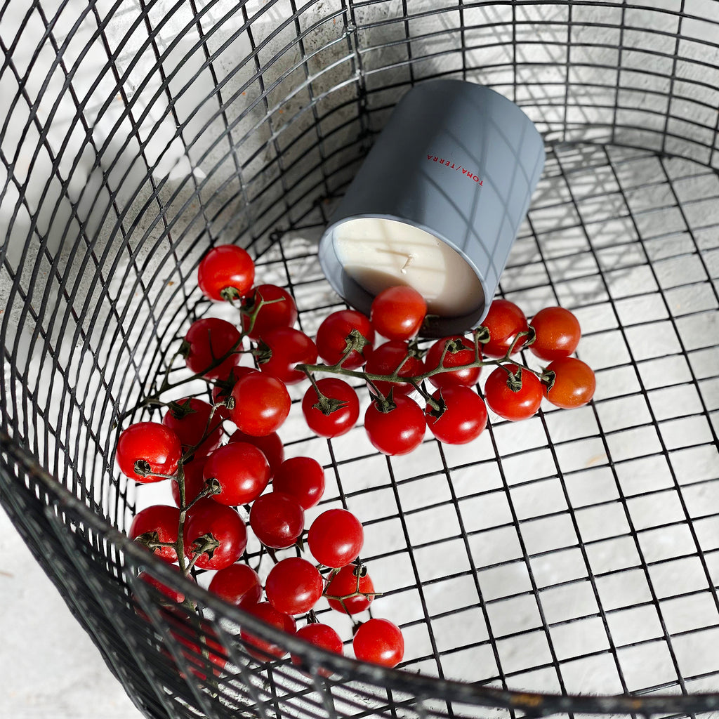 Scented soy candle TOMA/TERRA